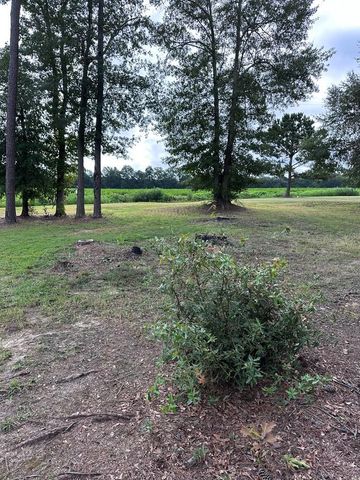 183 Chestnutt Road, Slocomb, AL 36375