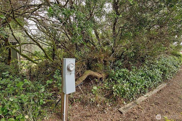 189 S Narwhal Loop SW, Ocean Shores, WA 98569