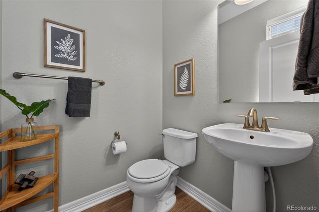 2389 Verbena Street, Denver, CO 80238