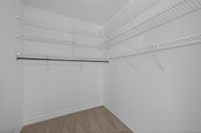 2389 Verbena Street, Denver, CO 80238