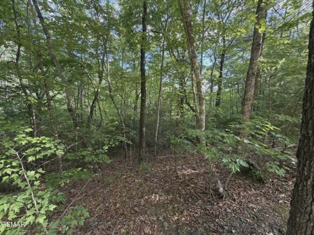 20,21,22 Fox Hunters Lane, Sevierville, TN 37876