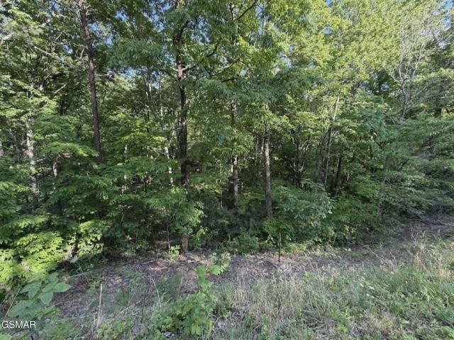 20,21,22 Fox Hunters Lane, Sevierville, TN 37876