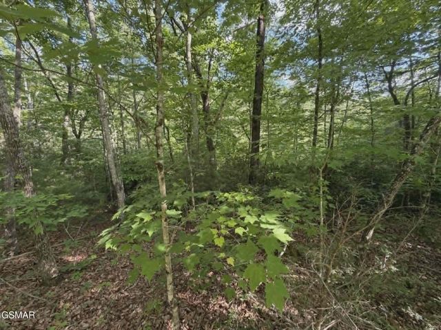 20,21,22 Fox Hunters Lane, Sevierville, TN 37876