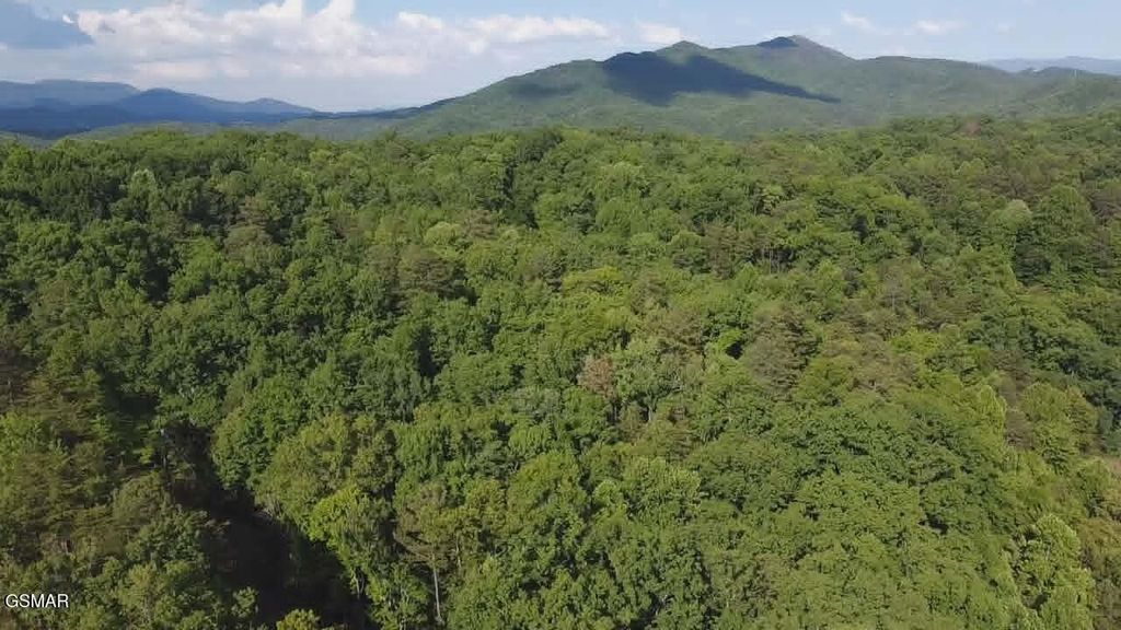 20,21,22 Fox Hunters Lane, Sevierville, TN 37876