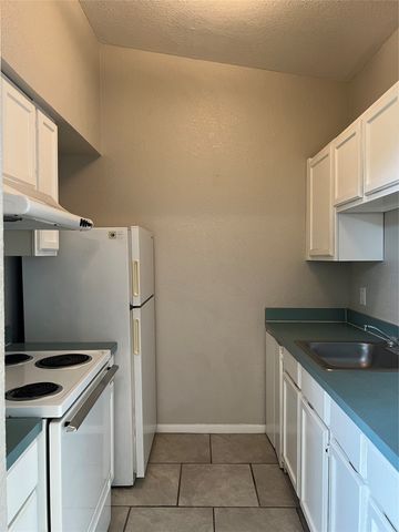 701 W Sycamore Street 303, Denton, TX 76201