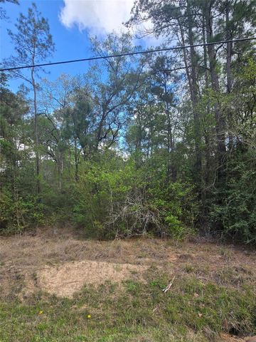 0 N Mill Dr, Magnolia, TX 77354