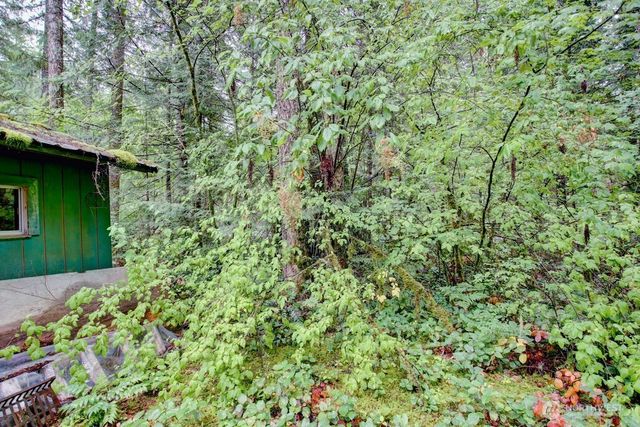 123 1 Jasper Trail, Deming, WA 98244