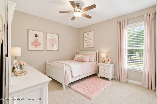 5401 Zamia Drive, Brooksville, FL 34604