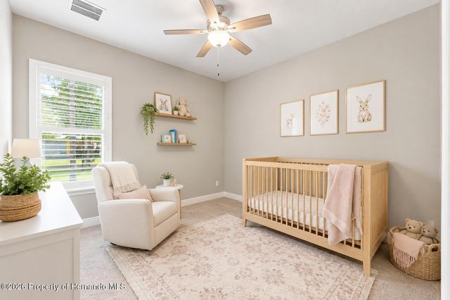 5401 Zamia Drive, Brooksville, FL 34604