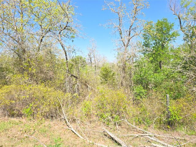 TBA Thousand Oaks Dr. Lot Thousand Oaks DR, Cedar Creek, TX 78612
