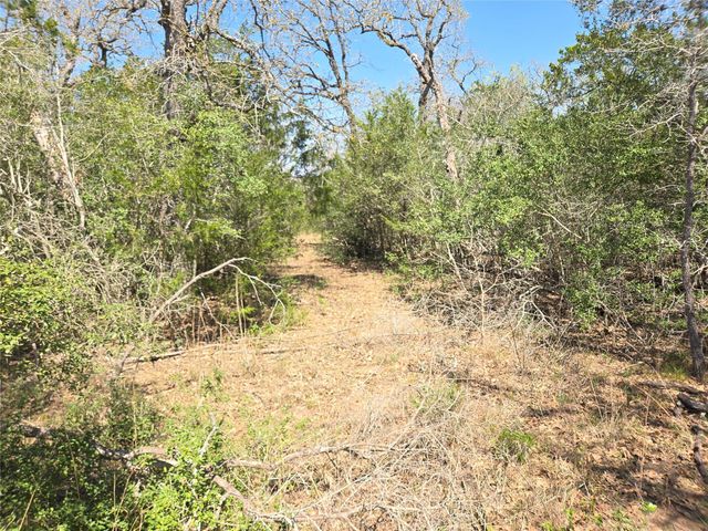 TBA Thousand Oaks Dr. Lot Thousand Oaks DR, Cedar Creek, TX 78612