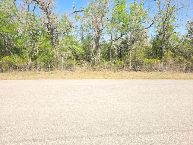TBA Thousand Oaks Dr. Lot Thousand Oaks DR, Cedar Creek, TX 78612