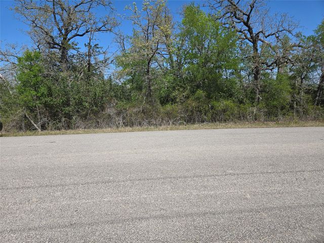 TBA Thousand Oaks Dr. Lot Thousand Oaks DR, Cedar Creek, TX 78612