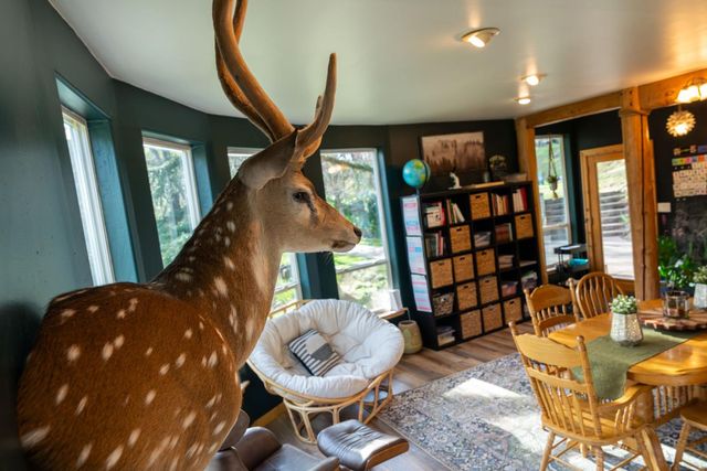 11383 Woodacre Rd, Grass Valley, CA 95949