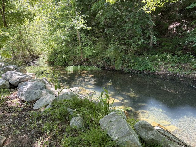 2499 W Leatherwood Rd, Cumberland Furnace, TN 37051