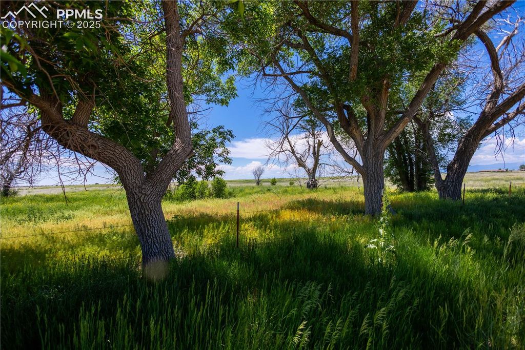 23655 E Garrett Road, Calhan, CO 80808 — exterior