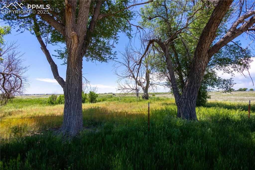 23655 E Garrett Road, Calhan, CO 80808 — photo 4