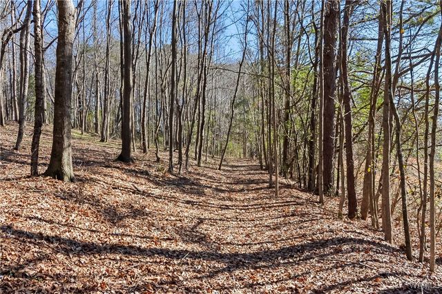 7840 Charlie Shirley, Northport, AL 35473