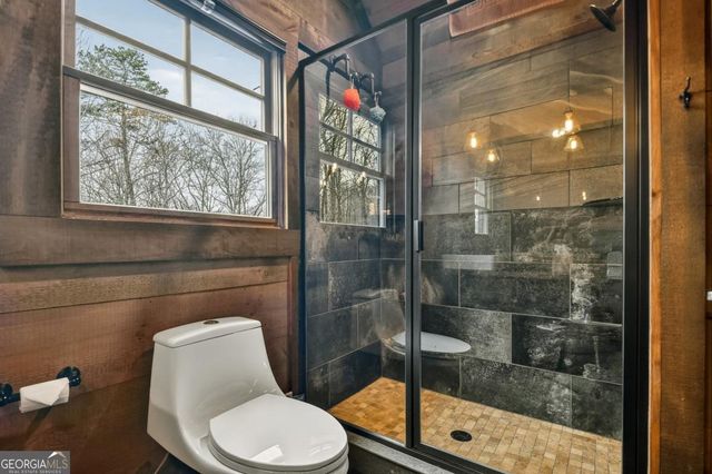 389 Toccoa Preserve Lane 7, Blue Ridge, GA 30513