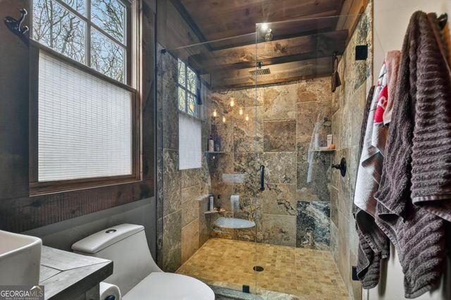 389 Toccoa Preserve Lane 7, Blue Ridge, GA 30513
