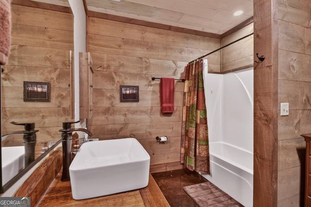 389 Toccoa Preserve Lane 7, Blue Ridge, GA 30513