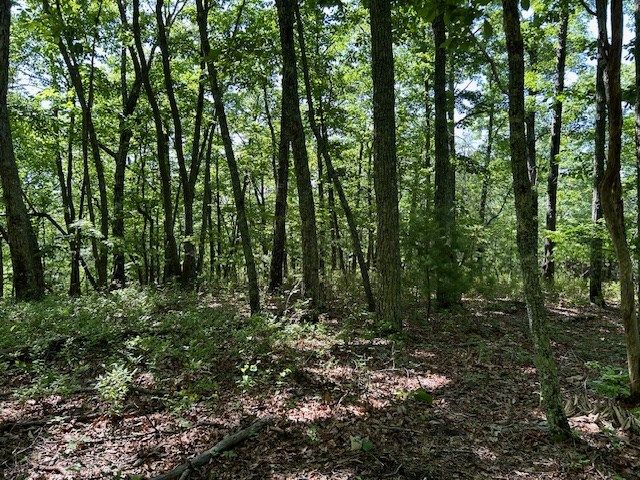 Lot 25 Mission Ridge Drive, Hayesville, NC 28904