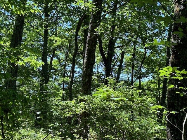 Lot 25 Mission Ridge Drive, Hayesville, NC 28904