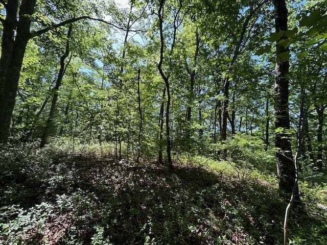 Lot 25 Mission Ridge Drive, Hayesville, NC 28904
