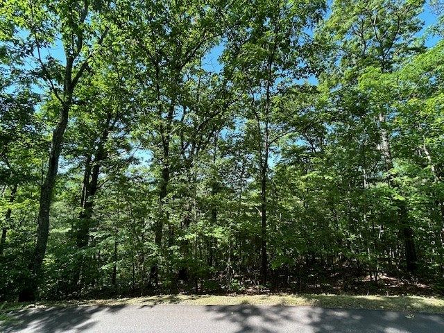 Lot 25 Mission Ridge Drive, Hayesville, NC 28904