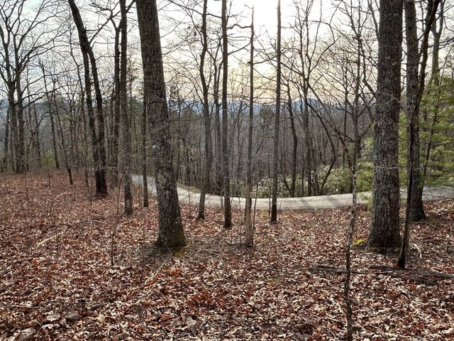 Lot 25 Mission Ridge Drive, Hayesville, NC 28904