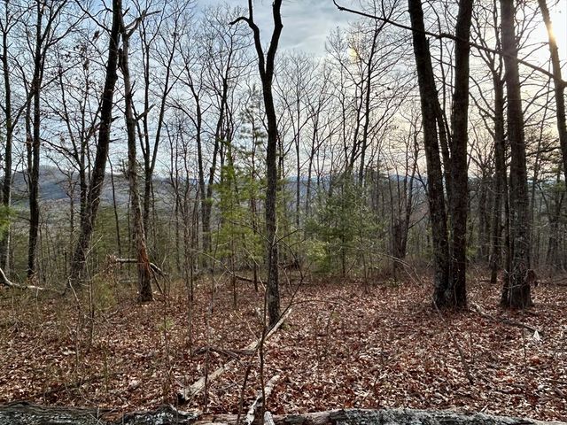 Lot 25 Mission Ridge Drive, Hayesville, NC 28904