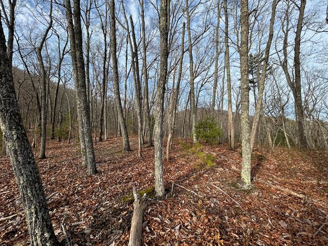 Lot 25 Mission Ridge Drive, Hayesville, NC 28904