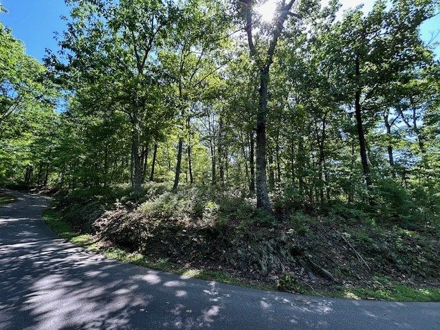 Lot 25 Mission Ridge Drive, Hayesville, NC 28904