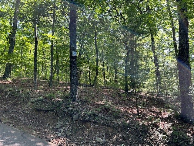 Lot 25 Mission Ridge Drive, Hayesville, NC 28904