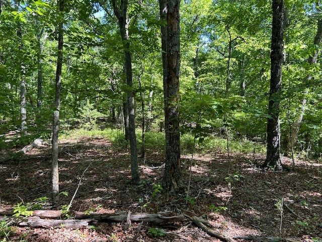 Lot 25 Mission Ridge Drive, Hayesville, NC 28904