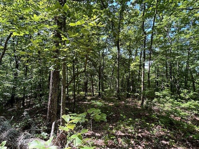 Lot 25 Mission Ridge Drive, Hayesville, NC 28904