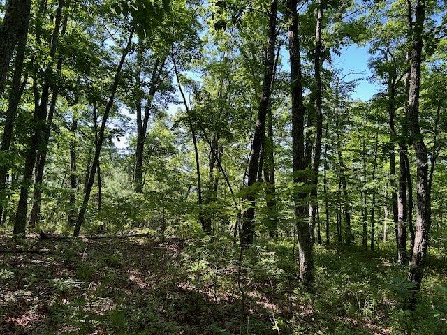 Lot 25 Mission Ridge Drive, Hayesville, NC 28904