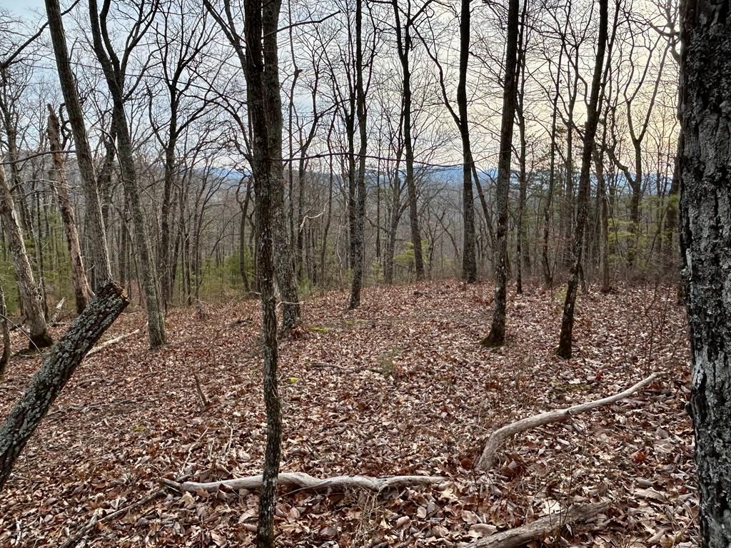 Lot 25 Mission Ridge Drive, Hayesville, NC 28904