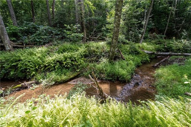 215 Dunn Mill Creek rd, Blue Ridge, GA 30513