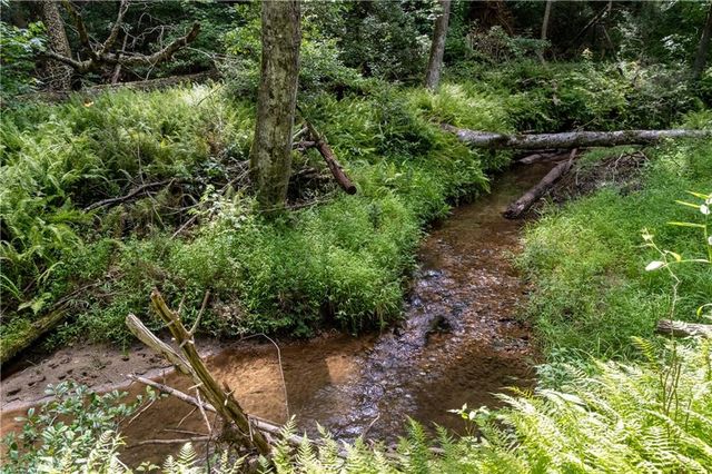 215 Dunn Mill Creek rd, Blue Ridge, GA 30513