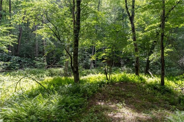 215 Dunn Mill Creek rd, Blue Ridge, GA 30513