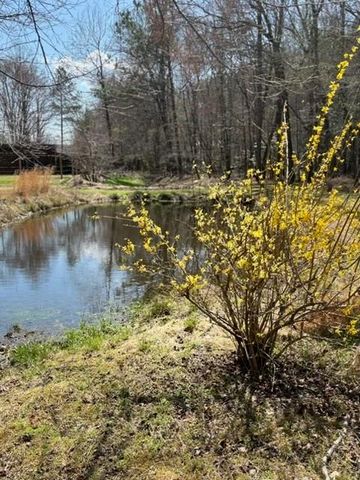 215 Dunn Mill Creek rd, Blue Ridge, GA 30513
