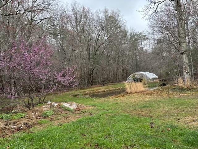 215 Dunn Mill Creek rd, Blue Ridge, GA 30513