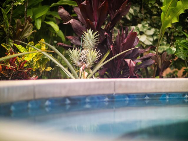 371 Pualoa Nani Pl Lot 24, Kihei, HI 96753