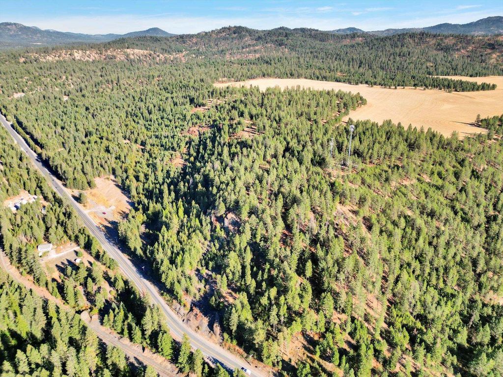 45XX 292 Hwy, Springdale, WA 99173 photo 14