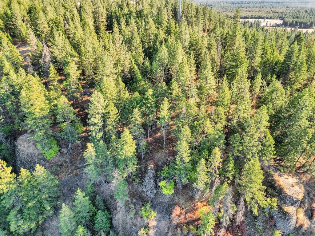 45XX 292 Hwy, Springdale, WA 99173 photo 18