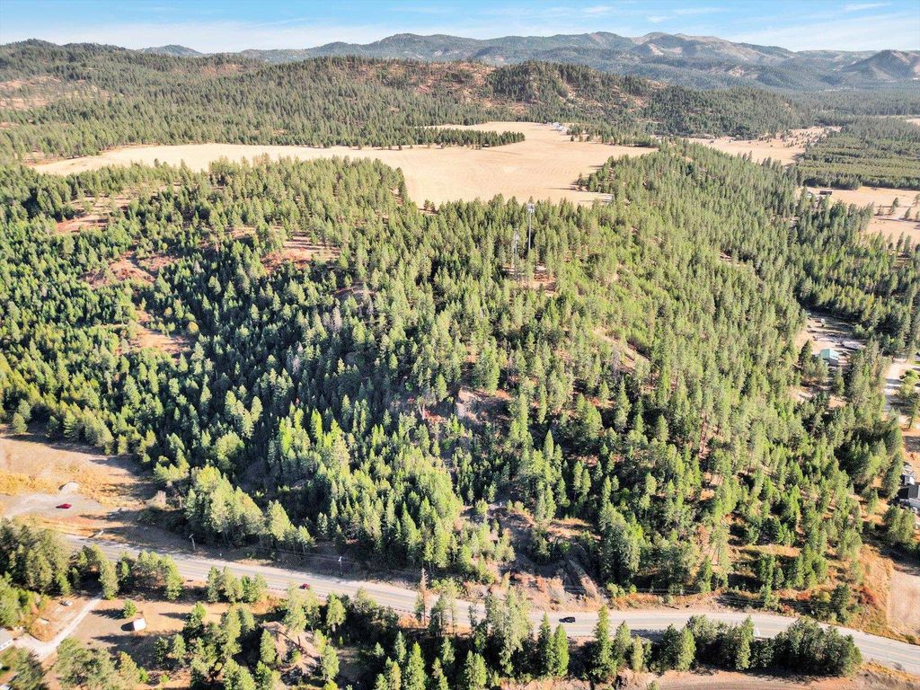 45XX 292 Hwy, Springdale, WA 99173 photo 19