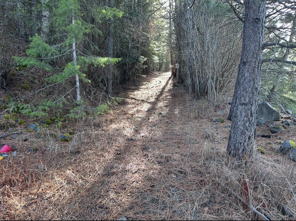 45XX 292 Hwy, Springdale, WA 99173 photo 22