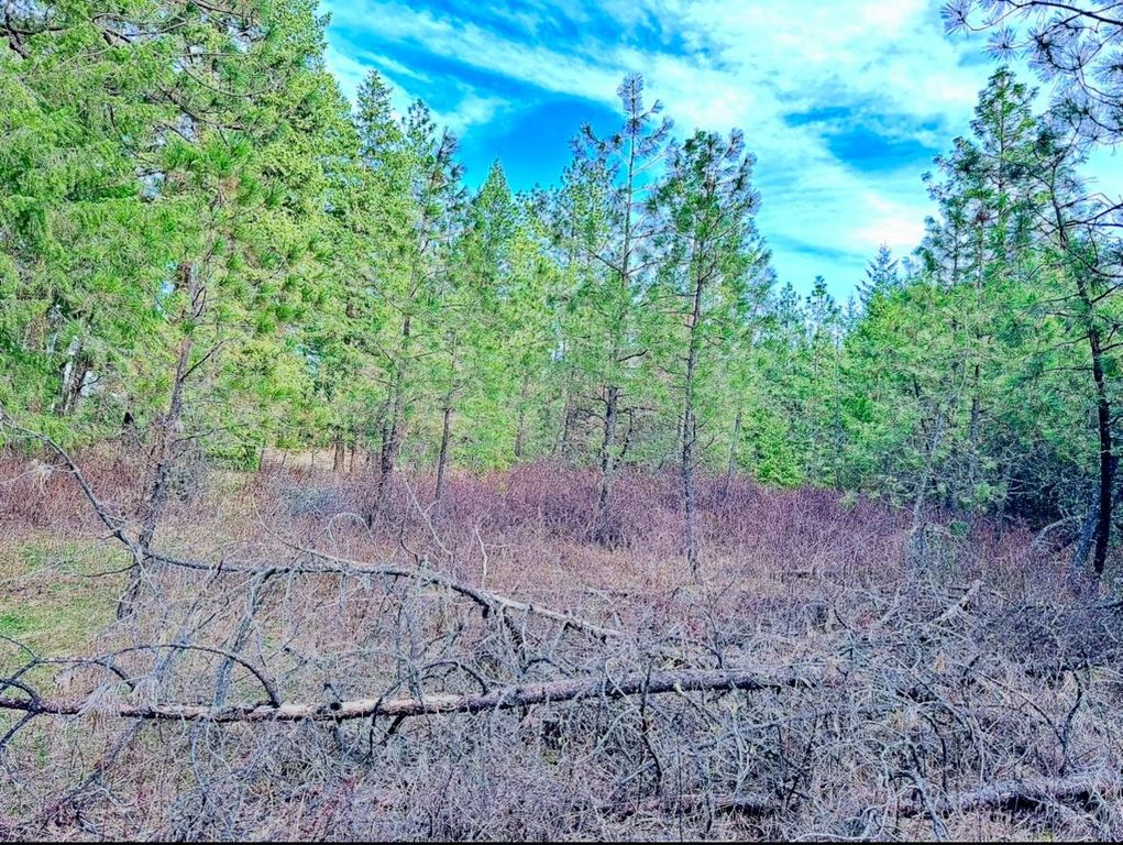 45XX 292 Hwy, Springdale, WA 99173 photo 25