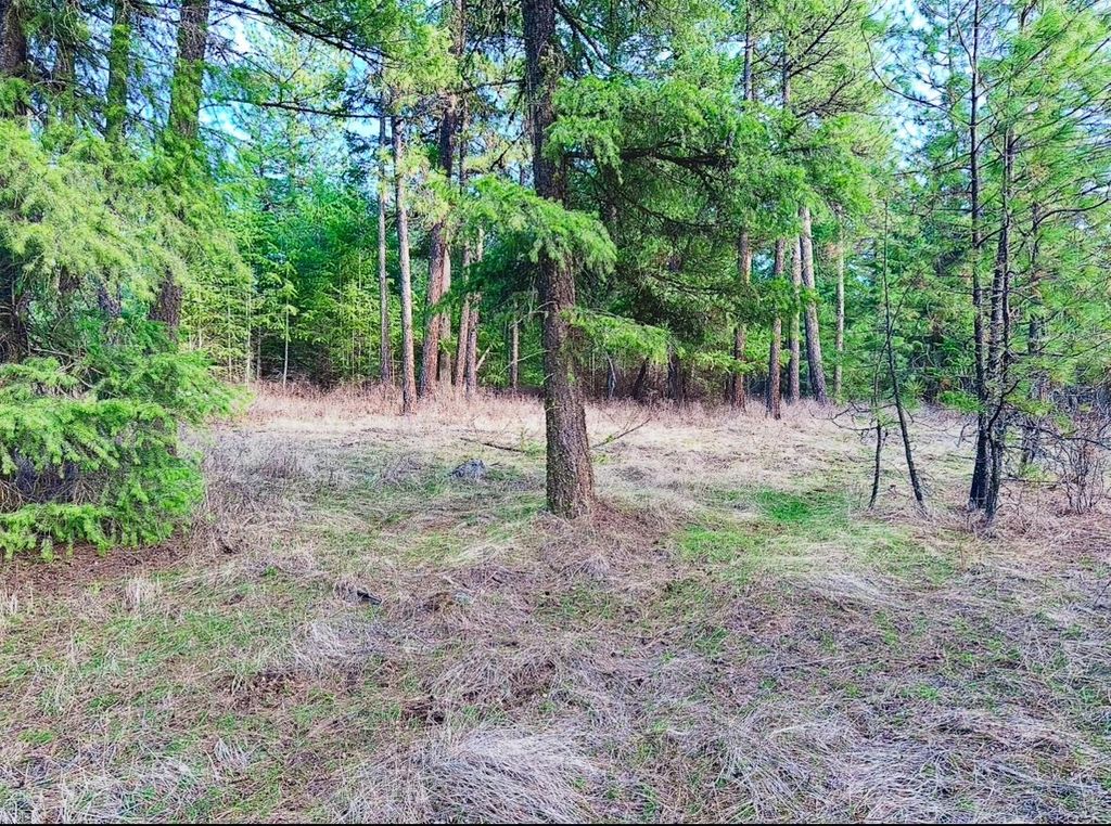 45XX 292 Hwy, Springdale, WA 99173 photo 26